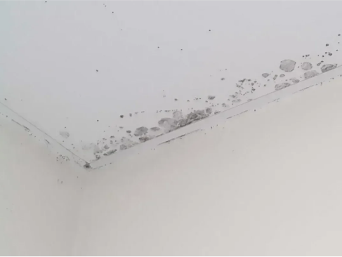Problemas de humedades en segovia 2 Moho y manchas de humedad en pared interior de vivienda en Segovia