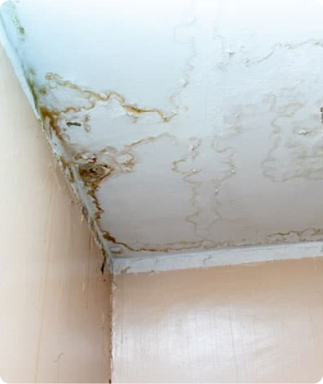 Daños estructurales por humedaden 2 Humedades y filtraciones visibles en el techo de una vivienda en Segovia