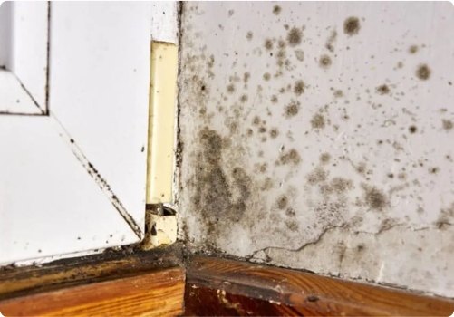 humedades en el Pisos Bajos 9 Pared con moho negro cerca de una ventana debido a la humedad en una casa en Segovia