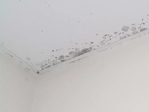 Reforma Buhardilla en Segovia 3 Humedades y moho visibles en el techo de una vivienda en Segovia